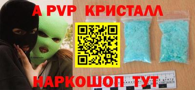 амф Кингисепп