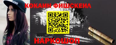 амф Кингисепп