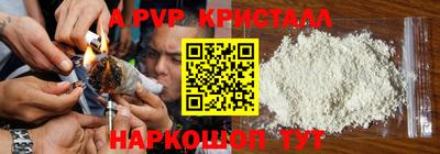 амф Кингисепп
