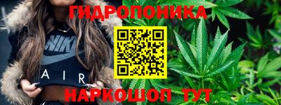 амф Кингисепп