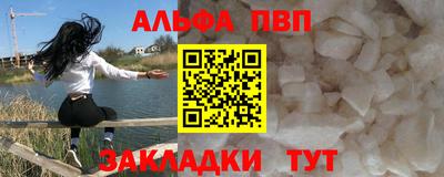 амф Кингисепп