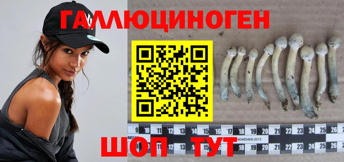 Псилоцибиновые грибы мухоморы  Галлюциногенные грибы Magic Shrooms  Семилуки  Вход с VPN 